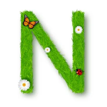 Grass letter N on white background Stock Illustration