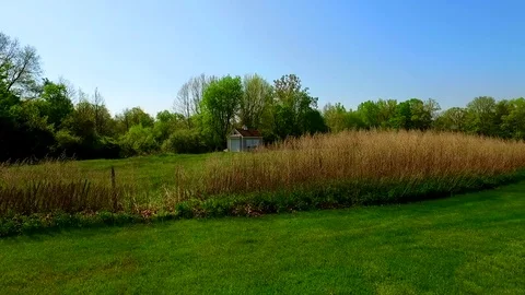 Grass Line Pan Video stock 77630901