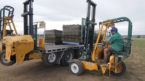 Grass loading Stock Footage 108013539