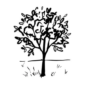 Grass, lonely tree. Simple hand drawn vector doodle drawing. Ink sketch. Stock Illustration