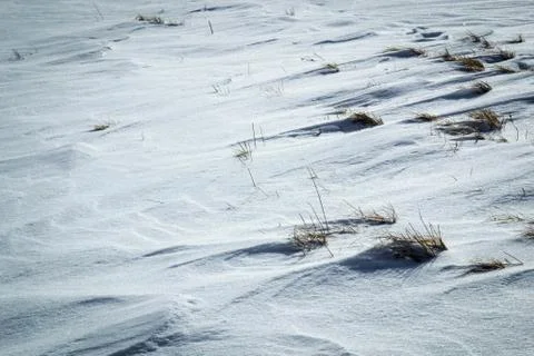 Grass looking at us from under the snow Stock Photos