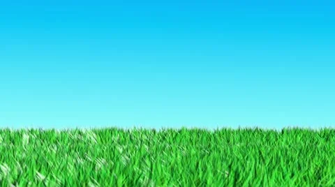 Grass loop animation Stock Footage 21878915