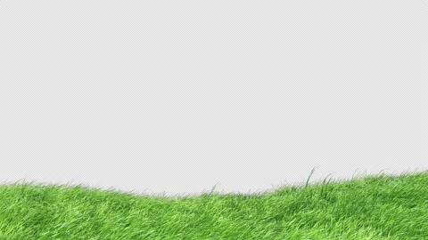 Grass Loop Stock Footage 164190555
