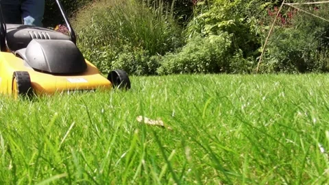 Grass machine drives close to the camera Stock Footage 195993868