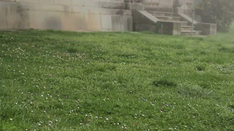 Grass Massandra Palace Stock Footage 48818831