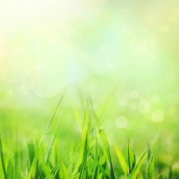 Grass in the meadow and  sky in the back Stock Photos
