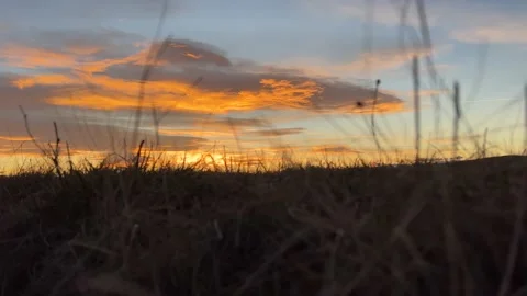 Grass on the meadow in the backlight at sunset Video stock 233832405