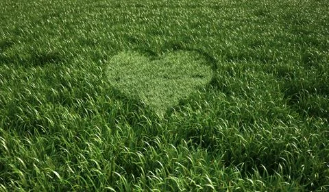 Grass meadow, bird eye view, with a heart shape cut grass in the middle. Stock Illustration