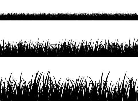 Grass meadow border vector pattern. Spring or summer plant field lawn. Black and Stock Illustration
