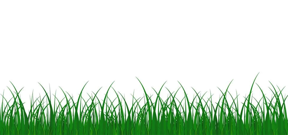 Grass meadow border vector pattern. Green color. Spring or summer plant. Gras Stock Illustration