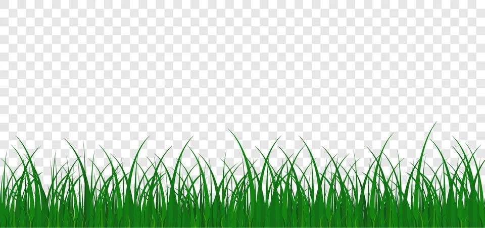Grass meadow border vector pattern on transparent background. Green color. Sp Illustrazione stock