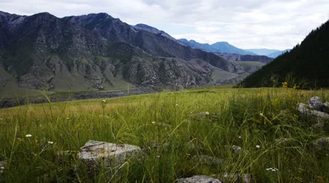 Grass meadow in the mountains Stock Footage 30443782