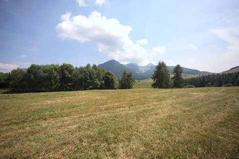 Grass meadow in the mountains Stock Photos