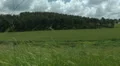Grass meadow, nature park, dirt road, forest. Slow motion. HD Footage