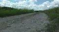 Grass meadow, nature park, dirt road, forest. Slow motion. HD Footage