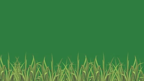 Grass Motion - Stock Video Element Stock Footage 338018005