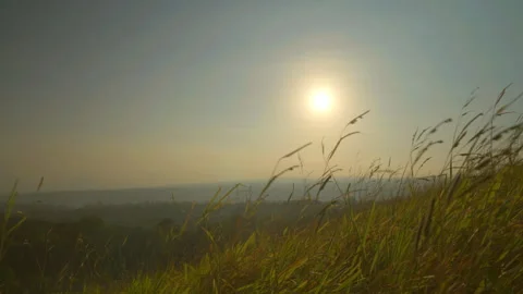 Grass motion on windy and backgroun of hill and sunrise on sky  Stock Footage 258984106