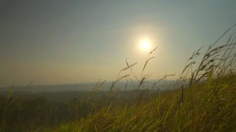 Grass motion on windy and backgroun of hill and sunrise on sky  Stock Footage 258984154