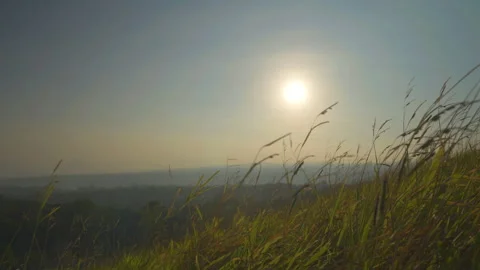 Grass motion on windy and backgroun of hill and sunrise on sky  Stock Footage 259041515