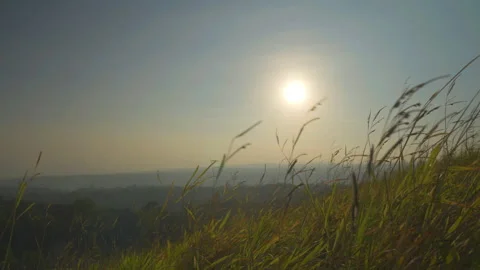 Grass motion on windy and backgroun of hill and sunrise on sky  Stock Footage 259041716