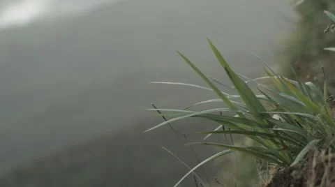 Grass on the mountain Vidéo 41144527