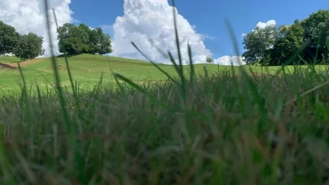 Grass, mountain, hill, trees Vidéo 149476879