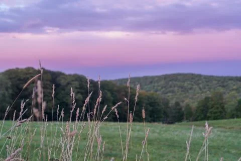 Grass with mountains in backdrop Foto stock