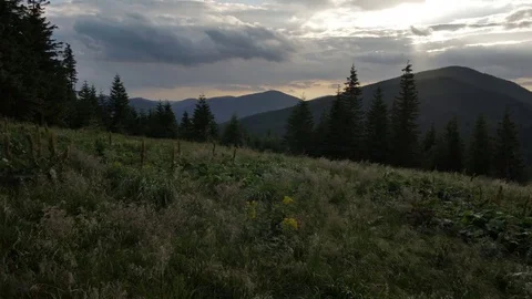Grass in the mountains during a sunset Vídeos de archivo 77620678