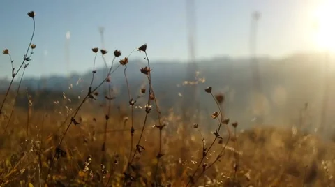 Grass in the mountains during a sunset in motion 스톡 동영상 57859919