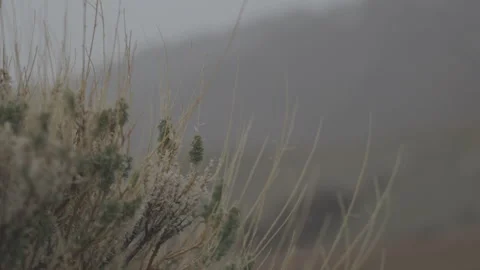 Grass in mountains in rain 動画素材 302485013