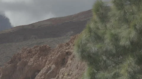 Grass in mountains in rain 動画素材 302485054