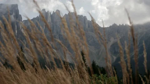Grass moving in Dolomites Stock Footage 167061692