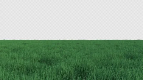 Grass Moving Forward Looped with Alpha Matte Stock Footage 163515098