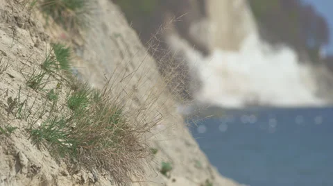 Grass Moving In Light Wind on Chalk Cliff Of Rügen Island Stock Footage 36665086