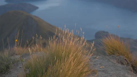 Grass moving on Roy's Peak with the wind with the Wanaka lakes behind Stock Footage 218429147