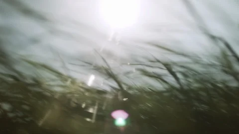 Grass moving in slow motion by the wind on a sunny day Stock Footage 95272533