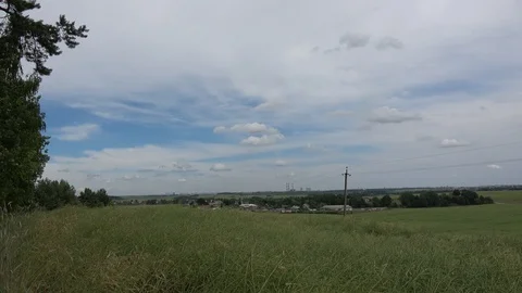 Grass moving on the wind in the field. Belarus Stock Footage 85528762