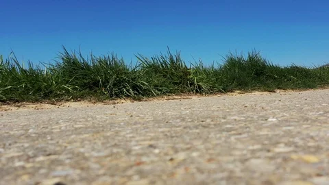 Grass is moving in the wind Stock Footage 114232675