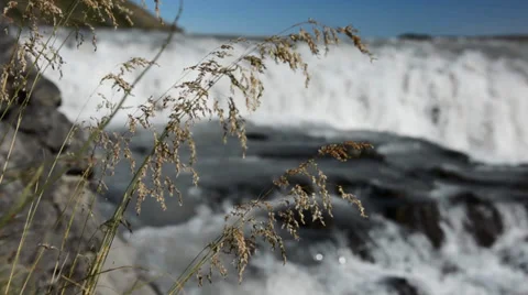 Grass moving in a wind with Gullfoss waterfall as a background, Iceland Stock Footage 33795245