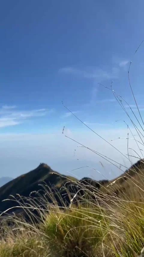 Grass moving in the wind in the mountains Video stock 285606336