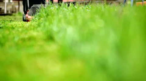 Grass mowing Stock Footage 43232050