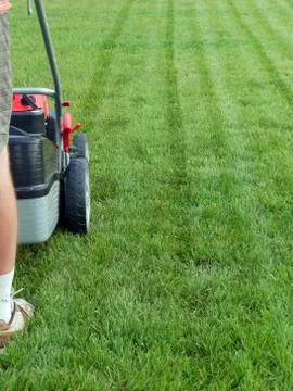 Grass mowing Foto stock