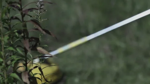 Grass mowing. Super slow motion Stock Footage 50434603