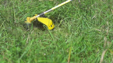 Grass mowing. Super slow motion Stock Footage 54391466
