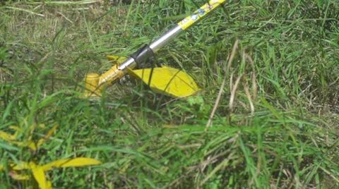 Grass mowing. Super slow motion Stock Footage 54391759