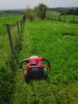 Grass Mowing in a Village Foto stock
