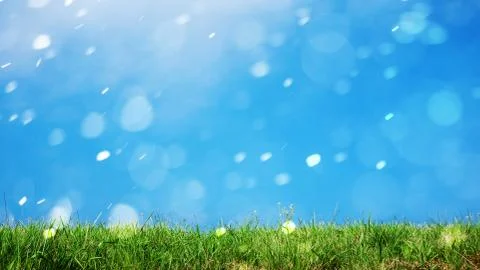 Grass natural background Stock Photos