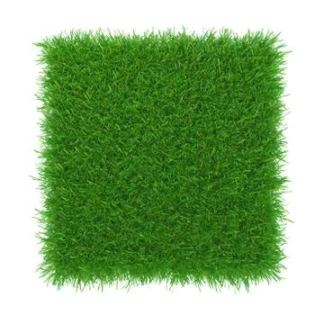 Grass. natural background texture Illustrazione stock
