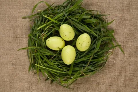 Grass nest with eggs Fotos de archivo