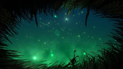Grass at night with fireflies loop Stock Footage 82185842
